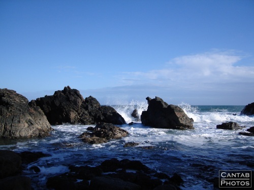Wild Coasts - Photo 4
